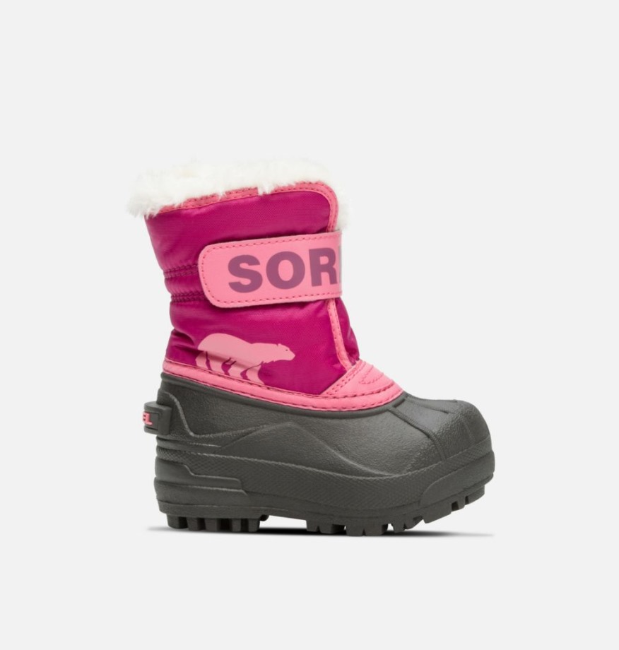 Sorel Belgique Tropic Pink-deep Blush Tout-petit Snow Commander Boot