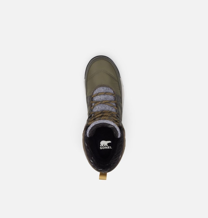 Sorel Belgique Bottes D'hiver Whitney Ii Courtes à Lacets Pour Femmes Vert Pierre-noir